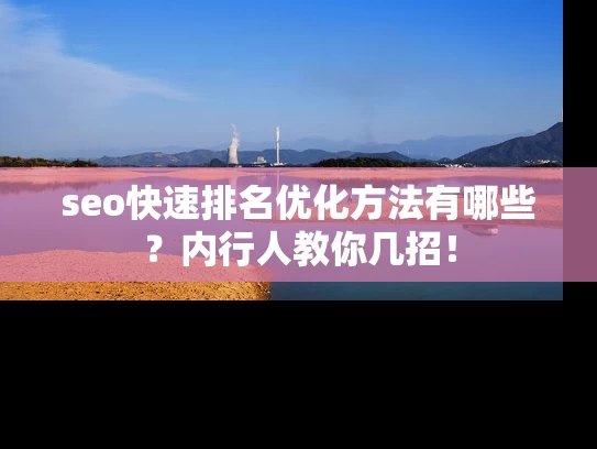 seo快速排名优化方法有哪些？内行人教你几招！