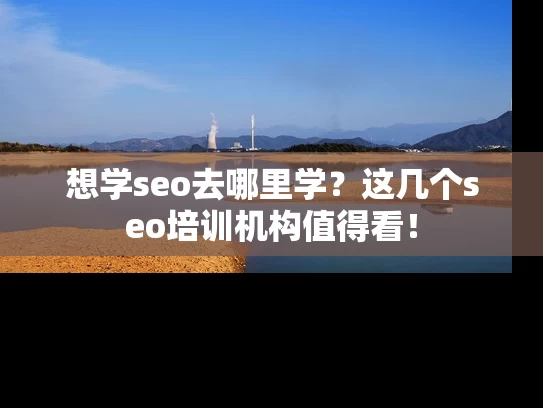 想学seo去哪里学？这几个seo培训机构值得看！