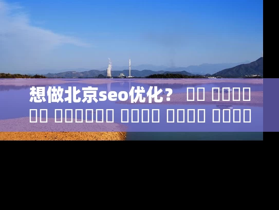 想做北京seo优化？ এই গাইডটি আপনাকে শুরু করতে সহায়তা করবে！