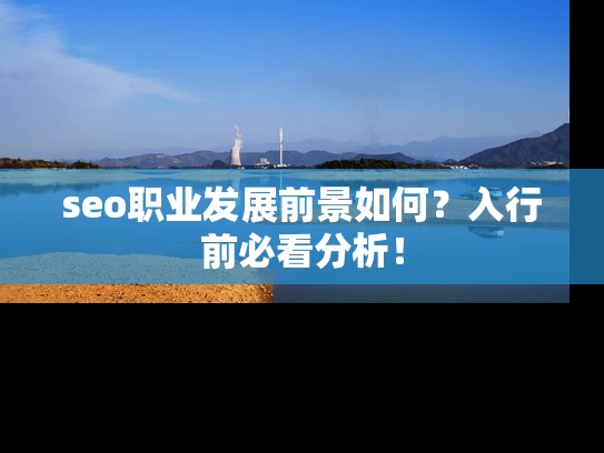 seo职业发展前景如何？入行前必看分析！