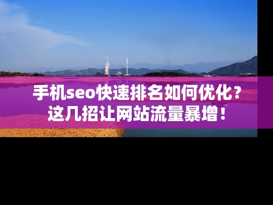 手机seo快速排名如何优化？这几招让网站流量暴增！