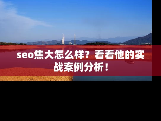seo焦大怎么样？看看他的实战案例分析！