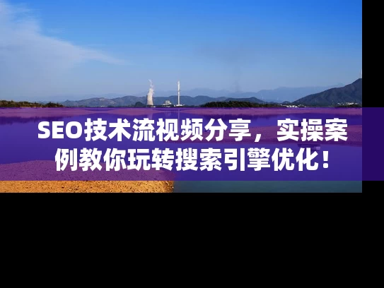 SEO技术流视频分享，实操案例教你玩转搜索引擎优化！