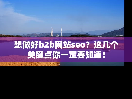 想做好b2b网站seo？这几个关键点你一定要知道！
