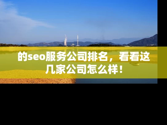 的seo服务公司排名，看看这几家公司怎么样！