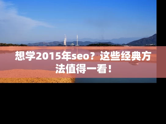 想学2015年seo？这些经典方法值得一看！