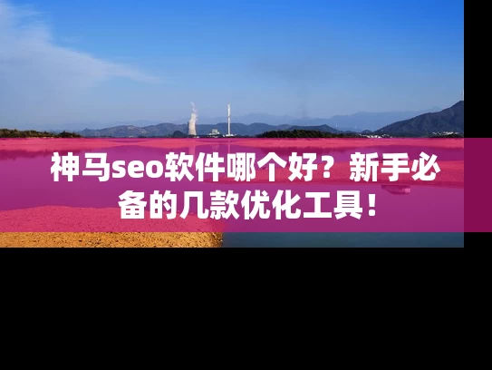 神马seo软件哪个好？新手必备的几款优化工具！