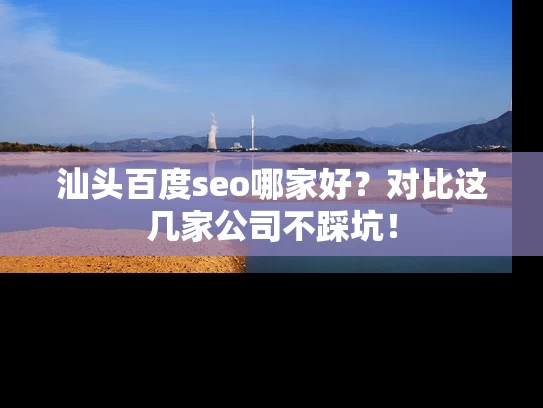 汕头百度seo哪家好？对比这几家公司不踩坑！