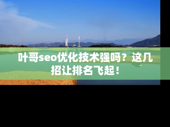 叶哥seo优化技术强吗？这几招让排名飞起！