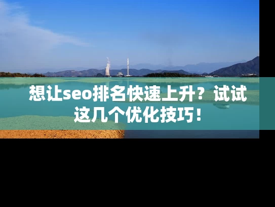 想让seo排名快速上升？试试这几个优化技巧！