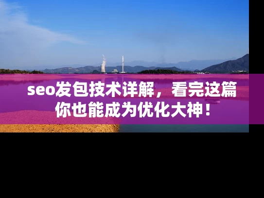seo发包技术详解，看完这篇你也能成为优化大神！
