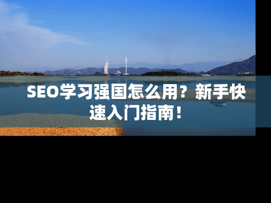 SEO学习强国怎么用？新手快速入门指南！