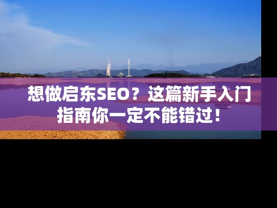 想做启东SEO？这篇新手入门指南你一定不能错过！