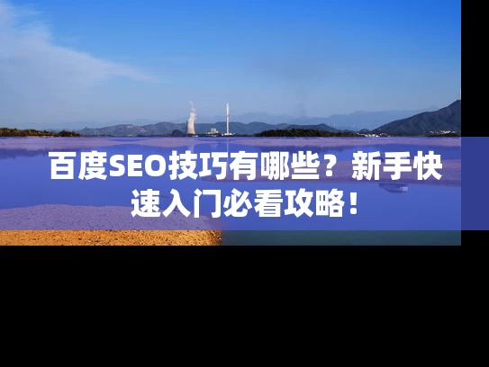 百度SEO技巧有哪些？新手快速入门必看攻略！