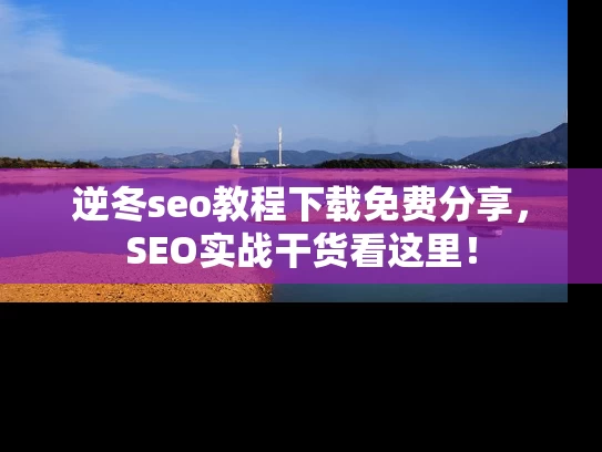 逆冬seo教程下载免费分享，SEO实战干货看这里！