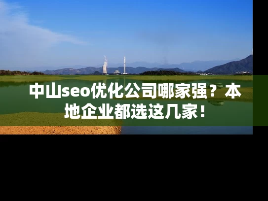 中山seo优化公司哪家强？本地企业都选这几家！
