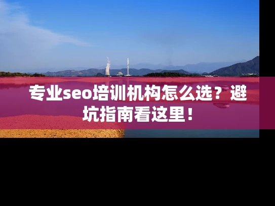 专业seo培训机构怎么选？避坑指南看这里！