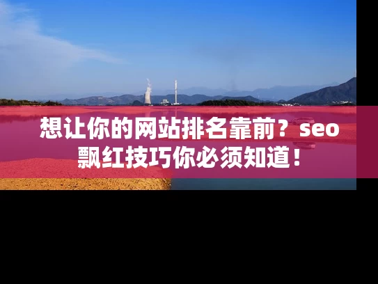 想让你的网站排名靠前？seo飘红技巧你必须知道！