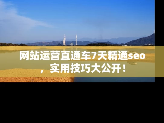 网站运营直通车7天精通seo，实用技巧大公开！