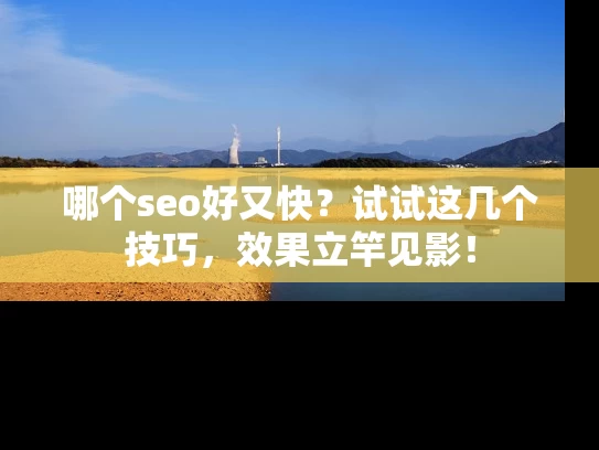 哪个seo好又快？试试这几个技巧，效果立竿见影！