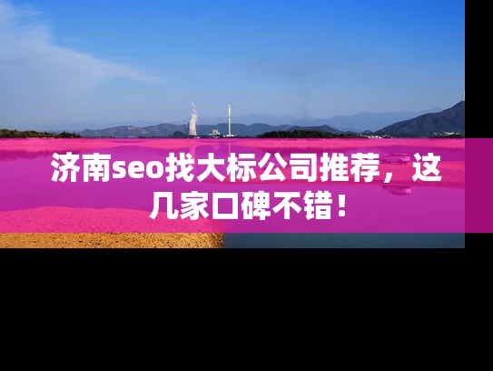 济南seo找大标公司推荐，这几家口碑不错！