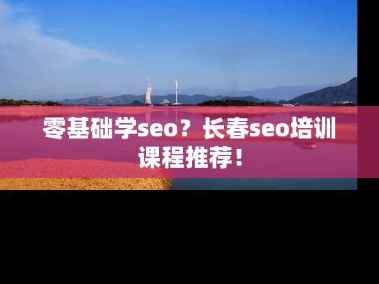 零基础学seo？长春seo培训课程推荐！