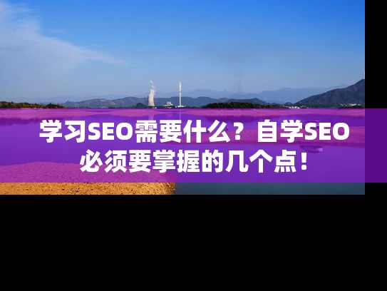 学习SEO需要什么？自学SEO必须要掌握的几个点！