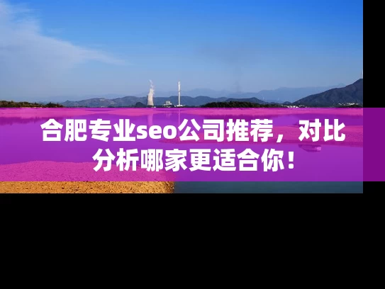 合肥专业seo公司推荐，对比分析哪家更适合你！