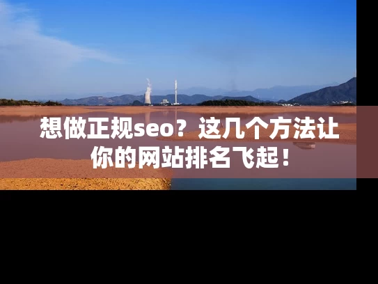想做正规seo？这几个方法让你的网站排名飞起！