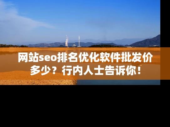网站seo排名优化软件批发价多少？行内人士告诉你！