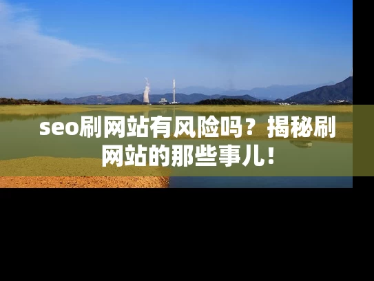 seo刷网站有风险吗？揭秘刷网站的那些事儿！