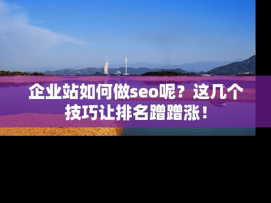 企业站如何做seo呢？这几个技巧让排名蹭蹭涨！