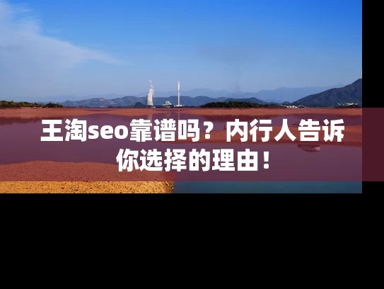 王淘seo靠谱吗？内行人告诉你选择的理由！