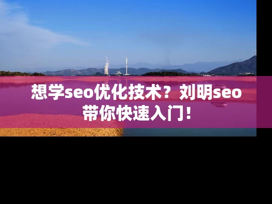 想学seo优化技术？刘明seo带你快速入门！