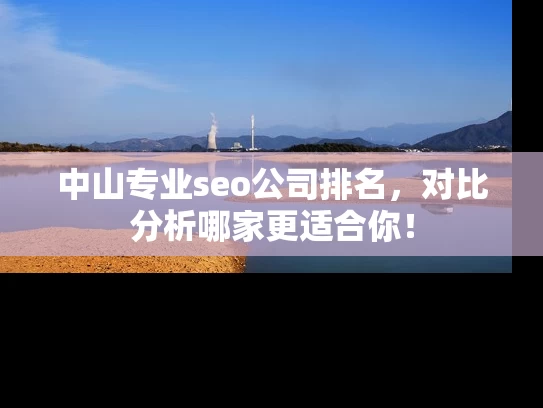 中山专业seo公司排名，对比分析哪家更适合你！