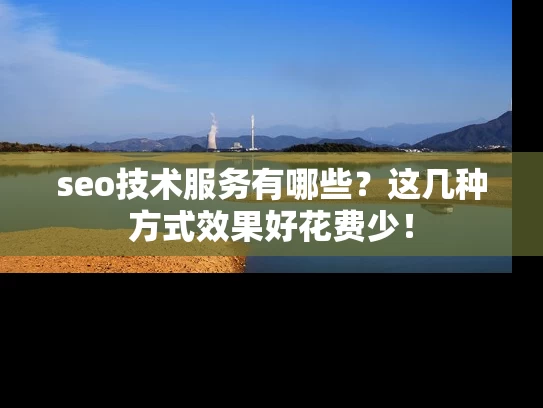 seo技术服务有哪些？这几种方式效果好花费少！