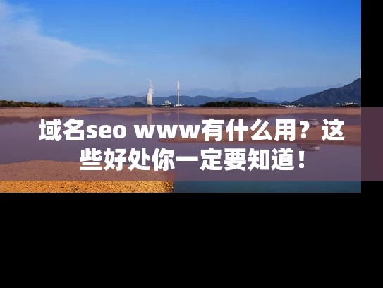 域名seo www有什么用？这些好处你一定要知道！