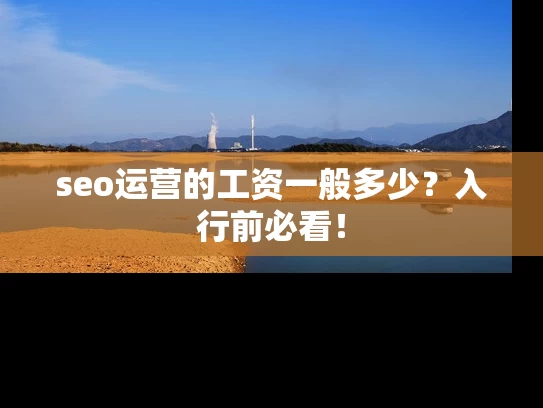 seo运营的工资一般多少？入行前必看！