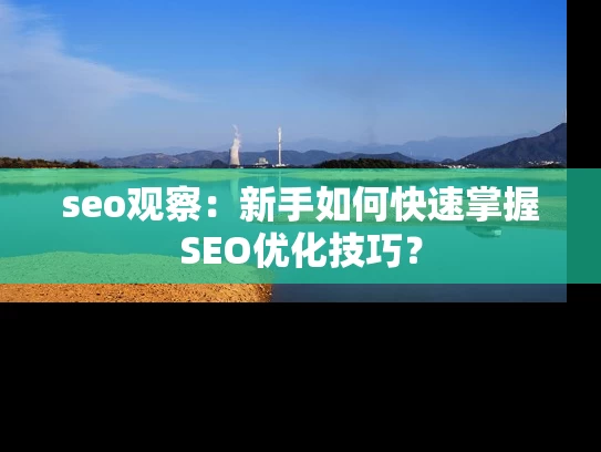 seo观察：新手如何快速掌握SEO优化技巧？