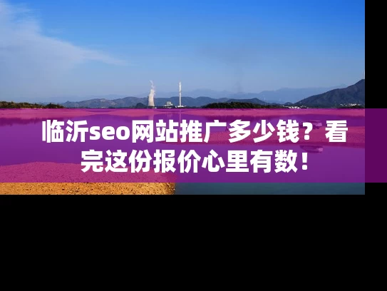 临沂seo网站推广多少钱？看完这份报价心里有数！