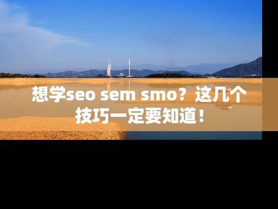 想学seo sem smo？这几个技巧一定要知道！