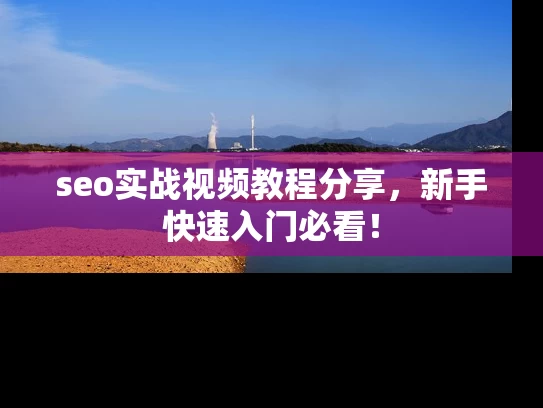 seo实战视频教程分享，新手快速入门必看！