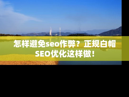 怎样避免seo作弊？正规白帽SEO优化这样做！