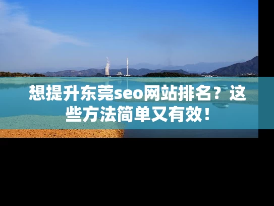想提升东莞seo网站排名？这些方法简单又有效！