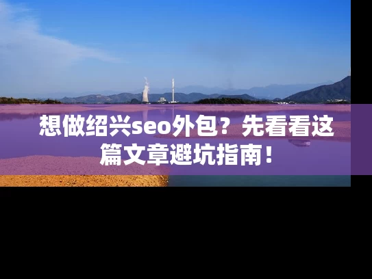想做绍兴seo外包？先看看这篇文章避坑指南！