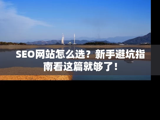 SEO网站怎么选？新手避坑指南看这篇就够了！