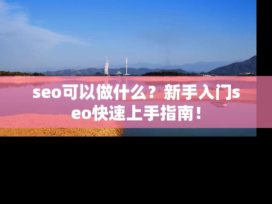 seo可以做什么？新手入门seo快速上手指南！