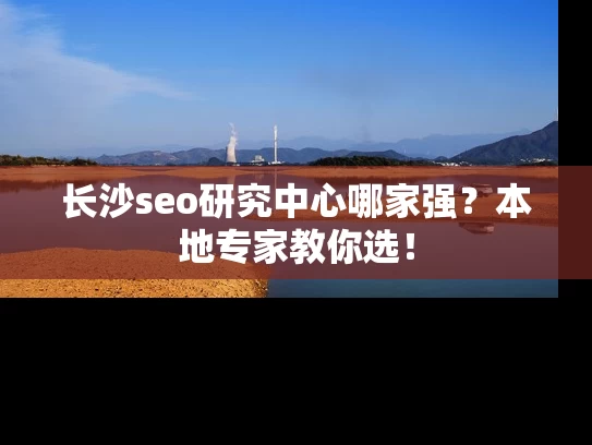 长沙seo研究中心哪家强？本地专家教你选！