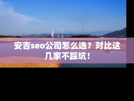 安吉seo公司怎么选？对比这几家不踩坑！