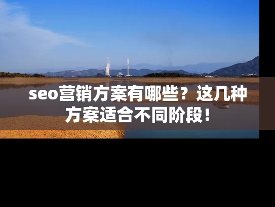 seo营销方案有哪些？这几种方案适合不同阶段！